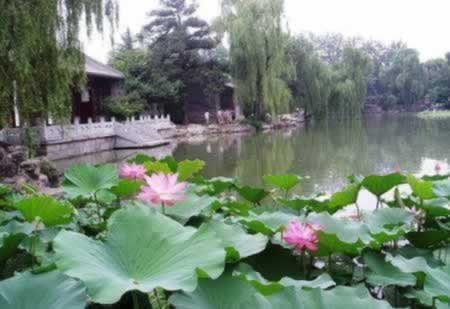 清华大学教师名言