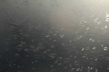 描写小雨的句子