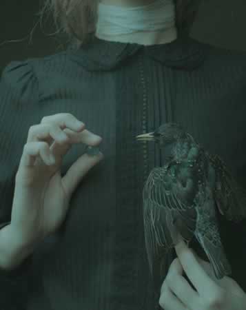 ʧľ˵˵