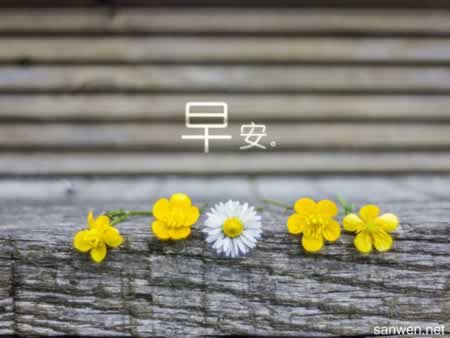 ô簲ʺ