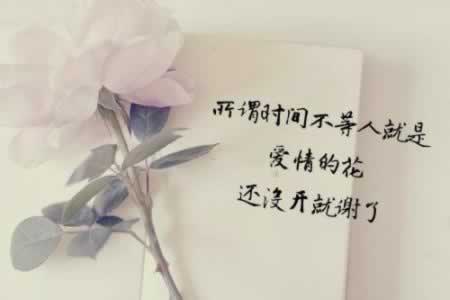 ۵ľ