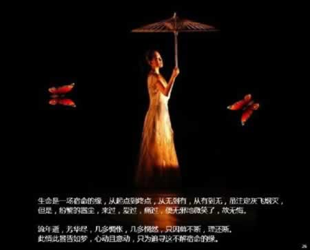 为爱付出的心碎句子