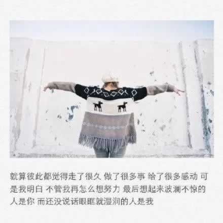 鵽˺ѷεľдϹ