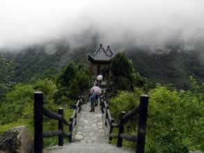 对婚姻心碎的句子