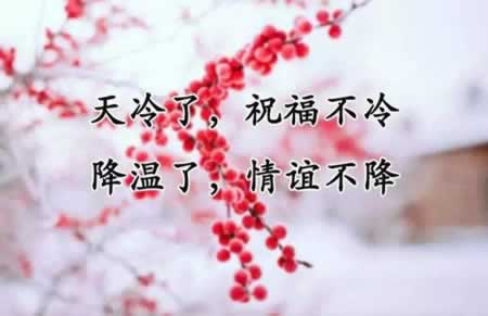 立冬祝福语简短精悍 适合发朋友圈哦