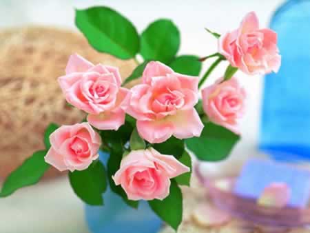 ڸж˵ľ