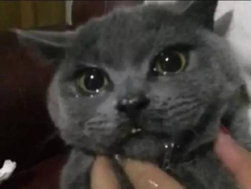 ĵľ