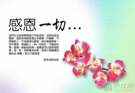 员工对老板感恩的句子