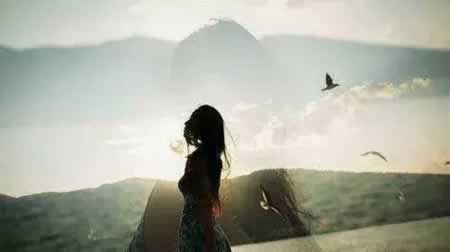 Ҷʧľ