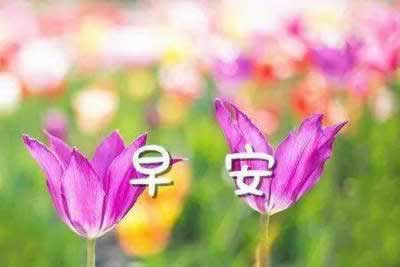 环保绿色口号