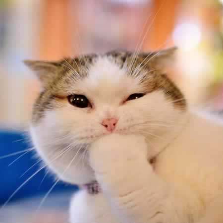 放开心态的句子看开点