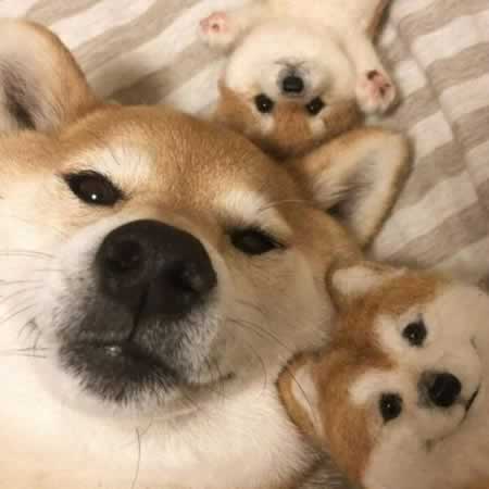 描写兴奋开心的句子