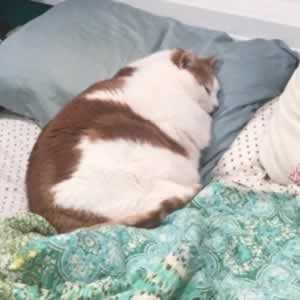 Ĭףĵľ