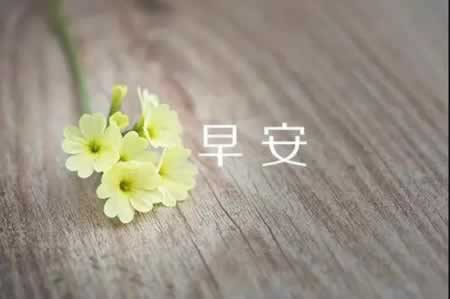 ĸȦůĵ簲Ӵȫ