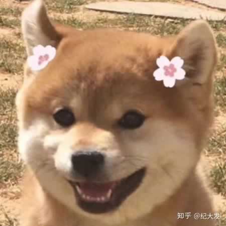鼓励人开心的非主流句子