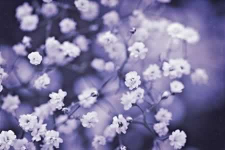 ԸԺ󿪿ĵľ