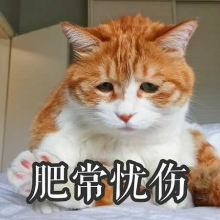 ʺϷȦĲĵľ
