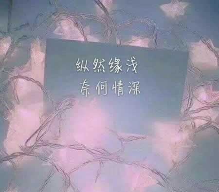 对人世失望的句子