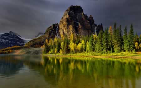 ЦСںŴȫ