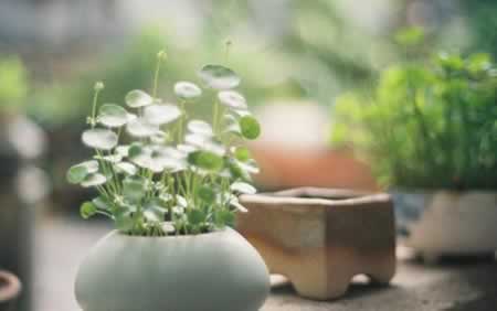 形容珍惜亲情的句子说说心情短语