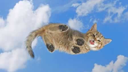 ľ