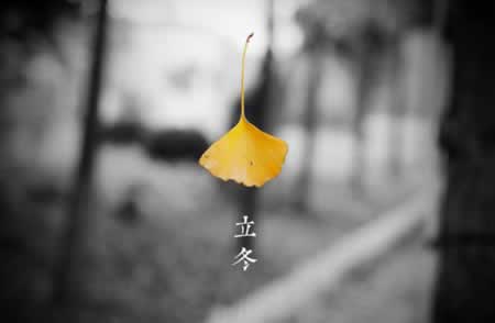 立冬发红包的句子