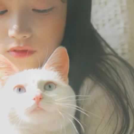 表达逛街玩开心的句子