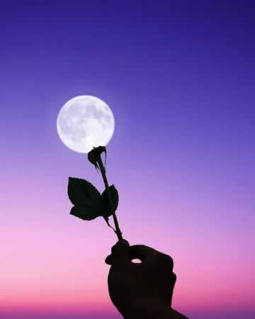 ʧʹľ