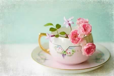 Ů˵˵ĵľӴȫ