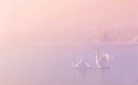 ʺϷȦĵĶ̾
