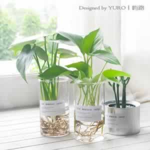 亲情温暖的感动句子