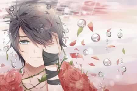 ʹľ˵˵