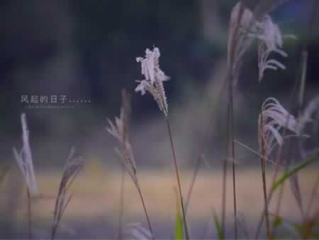 形容让人后悔的句子