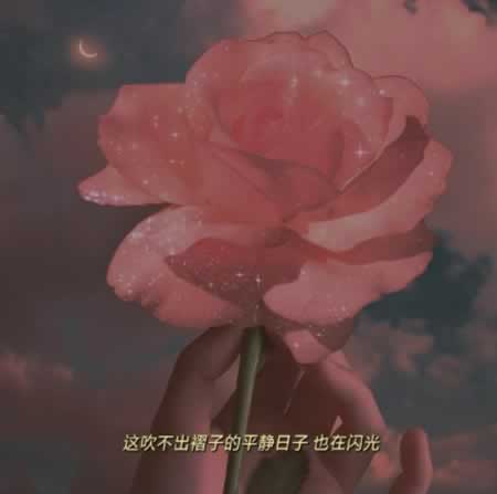 甜蜜的爱情句子 适合给对象说的浪漫情话