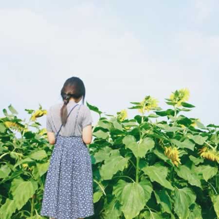 关于开心写的句子
