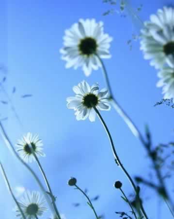 ľ˵˵