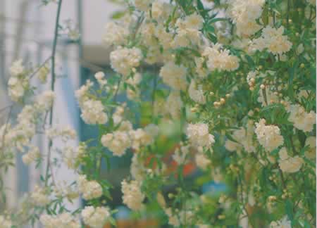 簲Ӵȫ ͳ˵˵