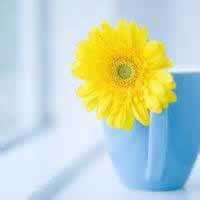 ڸĸľԾ