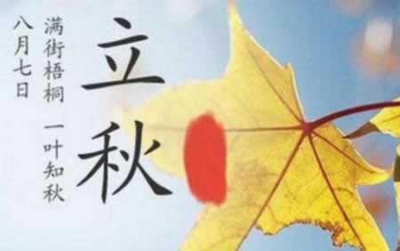 立秋发红包的句子