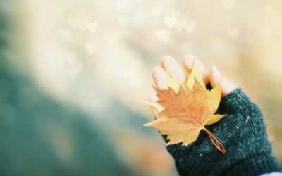 ںľ