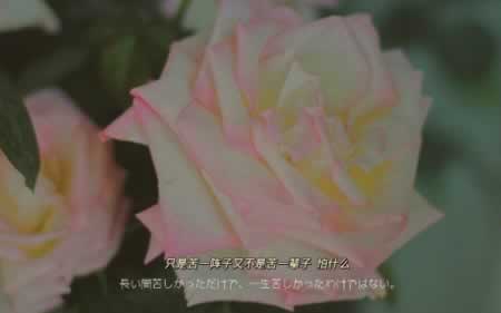 阳光简短的励志唯美句子 走心的励志简短说说语录