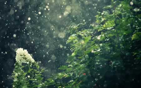 生病下雨心烦的说说句子