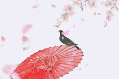 ϢĹŷӼ Ĺŷ̾
