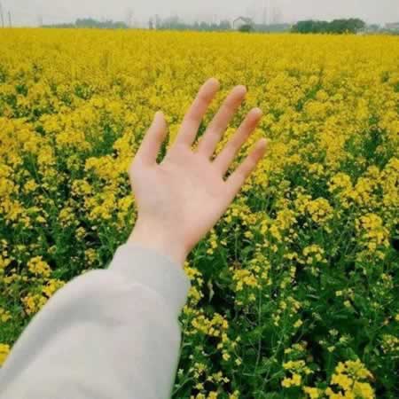 οĵľ˵˵