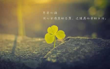 描述尽力不后悔的句子