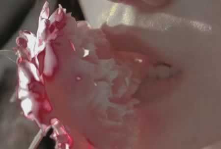 抖音里说到心坎里的文字 句句走心