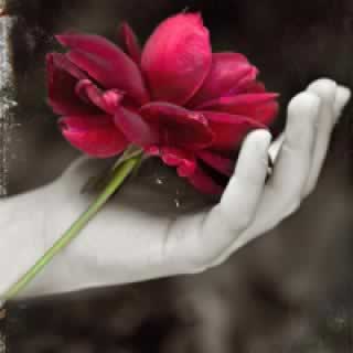 ؾ