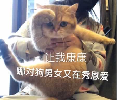 适合七夕发朋友圈的搞笑文案 适合单身狗七夕发圈的句子