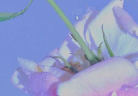 深入人心的感情文案 抖音最火情感文案