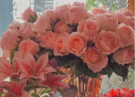 ںľ Ʒλľ